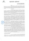 Vista preliminar de documento RJ ORH 195 2024
