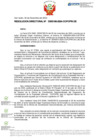 Vista preliminar de documento RD Nº D000169-2024-DE