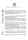 Vista preliminar de documento rd197