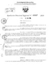 Vista preliminar de documento RDR 3137-2024