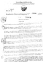 Vista preliminar de documento RDR 3141-2024