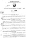 Vista preliminar de documento RDR 3142-2024