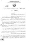 Vista preliminar de documento RDR 3143-2024