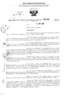 Vista preliminar de documento RDR 3144-2024