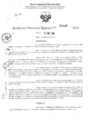 Vista preliminar de documento RDR 3146-2024
