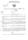 Vista preliminar de documento RDR 3147-2024