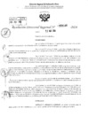 Vista preliminar de documento RDR 3148-2024