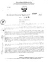 Vista preliminar de documento RDR 3149-2024