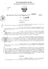 Vista preliminar de documento RDR 3150-2024
