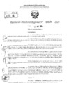Vista preliminar de documento RDR 3151-2024