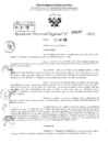 Vista preliminar de documento RDR 3157-2024