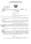 Vista preliminar de documento RDR 3159-2024