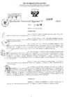 Vista preliminar de documento RDR 3160-2024