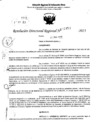 Vista preliminar de documento RDR 5453-2023