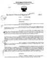 Vista preliminar de documento RDR 5454-2023