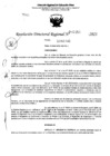 Vista preliminar de documento RDR 5456-2023