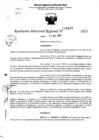 Vista preliminar de documento RDR 5462-2023