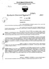 Vista preliminar de documento RDR 5464-2023