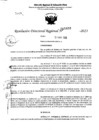 Vista preliminar de documento RDR 5466-2023