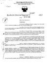 Vista preliminar de documento RDR 5467-2023