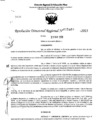 Vista preliminar de documento RDR 5469-2023