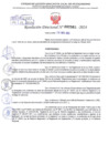 Vista preliminar de documento Resolución Directoral. N° 2561 - 2024 