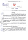 Vista preliminar de documento Resolución Directoral. N° 2562 - 2024