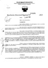 Vista preliminar de documento RDR 5478-2023