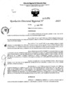 Vista preliminar de documento RDR 5479-2023