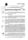 Vista preliminar de documento RDR 5488-2023