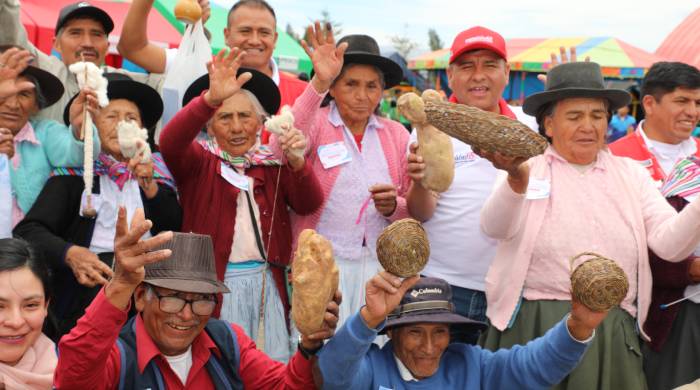 Ayacucho 3