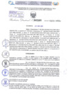 Vista preliminar de documento Resolución Directoral. N° 2502 - 2024 