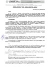 Vista preliminar de documento RESOLUCION N° 238-2024-UNHEVAL-URH/J
