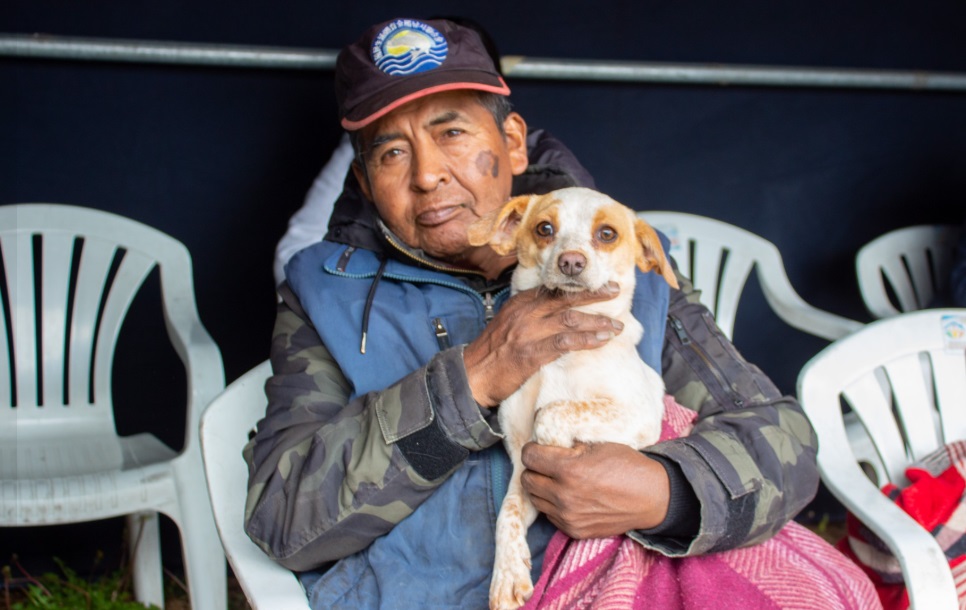 Inician campañas de esterilización y castración en Puno
