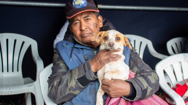 Inician campañas de esterilización y castración en Puno
