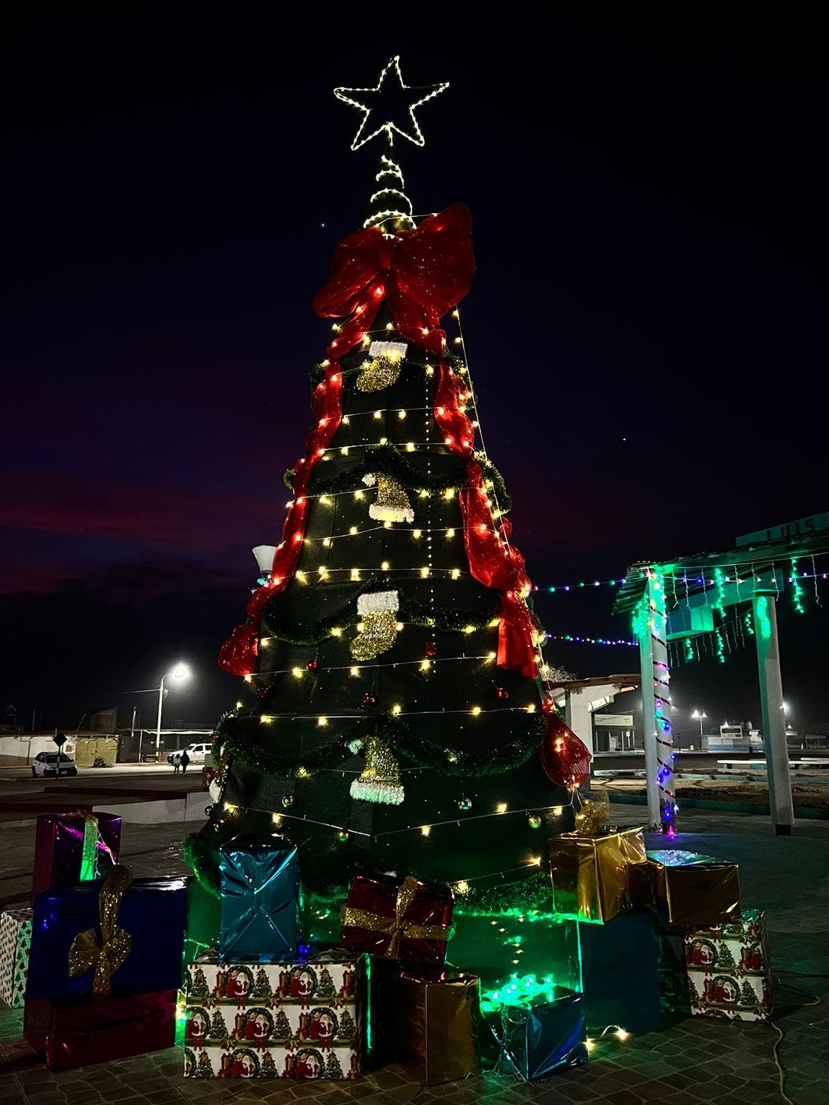 arbol_nav1