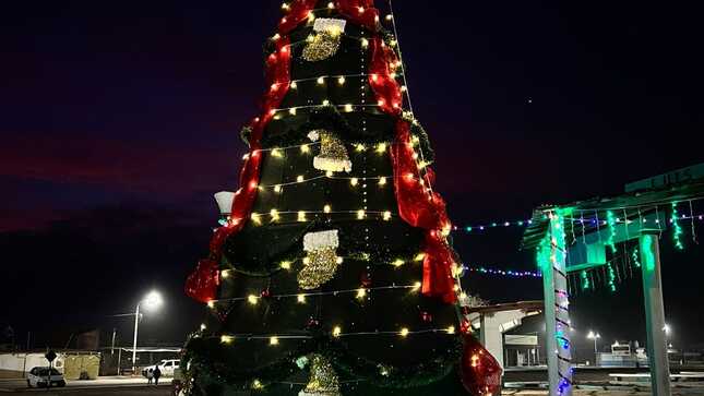 arbol_nav1