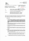 Vista preliminar de documento APROBACIÓN DE MODIFICACIONES DEL CUADRO MULTIANUAL DE NECESIDADES 2024 ANEXO N.º 06 DEL 191