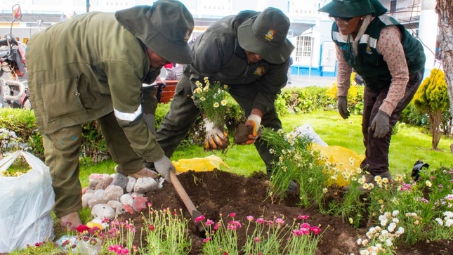 Municipalidad Provincial de Puno embellece el Parque Manuel Pino con plantación de plantas ornamentales