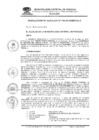 Vista preliminar de documento RESOLUCIÓN DE ALCALDÍA N 316-2015-MDP/ALC