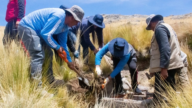 Municipalidad Provincial de Puno mejora captaciones de agua en el sector de Pulperpujo que abastece al C.P. de Ichu Pueblo