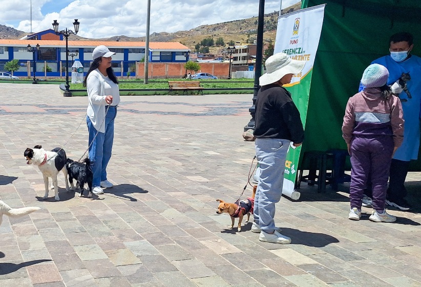 Municipalidad de Puno realizó 376 asistencias técnicas de campaña de desparasitación, golpe vitamínico, vacunación antirrábica