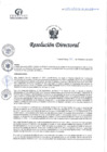 Vista preliminar de documento RD N°374-12-2024-DE-HCLLH-MINSA