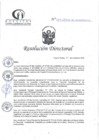 Vista preliminar de documento RD N°379-12-2024-DE-HCLLH-MINSA