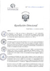 Vista preliminar de documento RD N°381-12-2024-DE-HCLLH-´MINSA
