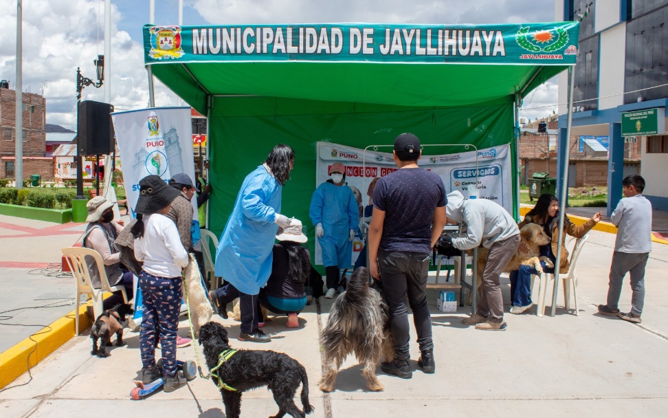 Municipalidad de Puno reafirma su compromiso con la salud animal en el C.P. de Jayllihuaya