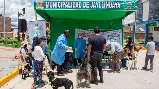Municipalidad de Puno reafirma su compromiso con la salud animal en el C.P. de Jayllihuaya