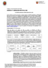 Vista preliminar de documento ADENDA N° 000029-2024-MPCP/ALC-GM