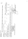 Vista preliminar de documento cmn-385