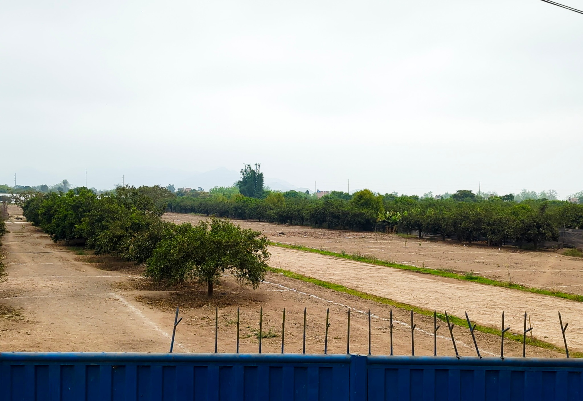 Inspecci贸n a proyectos sin licencia de habilitaci贸n urbana